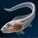 Small Crescent Saberfish