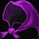 Glamorous Purple Mask