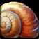 Grilled Snail