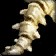 Imp Bone