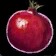 Whistlebloom Pomegranate