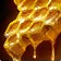 Collected Tidebloom Honey