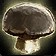Tenebrous Truffle