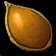 Guardian's Acorn