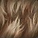 Rain-soaked pelt