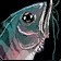 Bristle Whisker Catfish